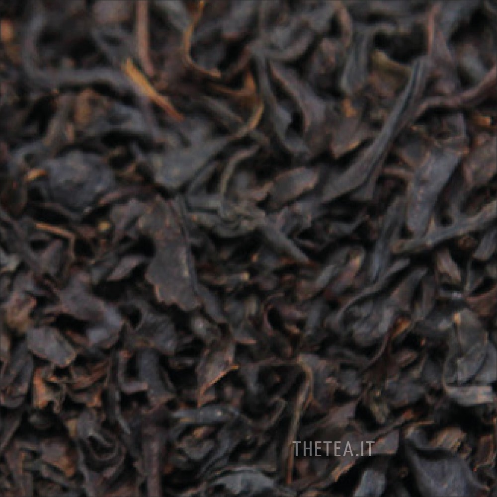 JINJING – CHINA BLACK TEA