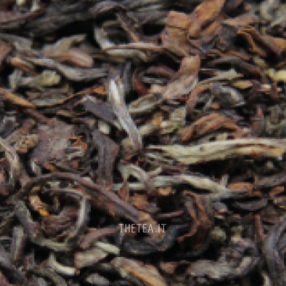 NEPAL JUN CHIYABARI – Black Tea
