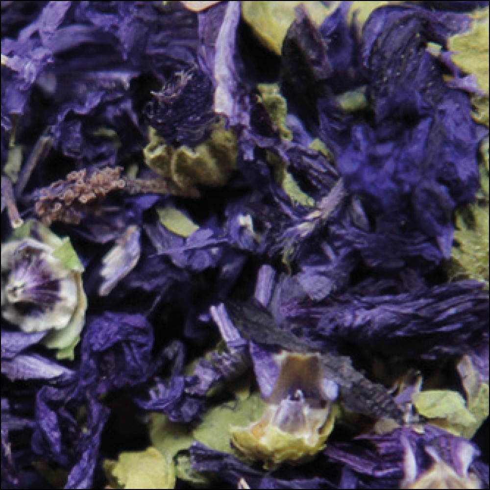 FIORI DI MALVA BLU VIOLETTO | The Tea Torino