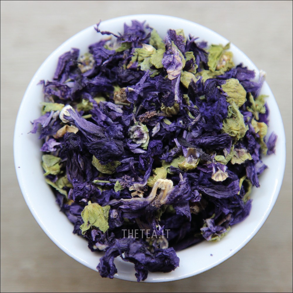 FIORI DI MALVA BLU VIOLETTO | The Tea Torino