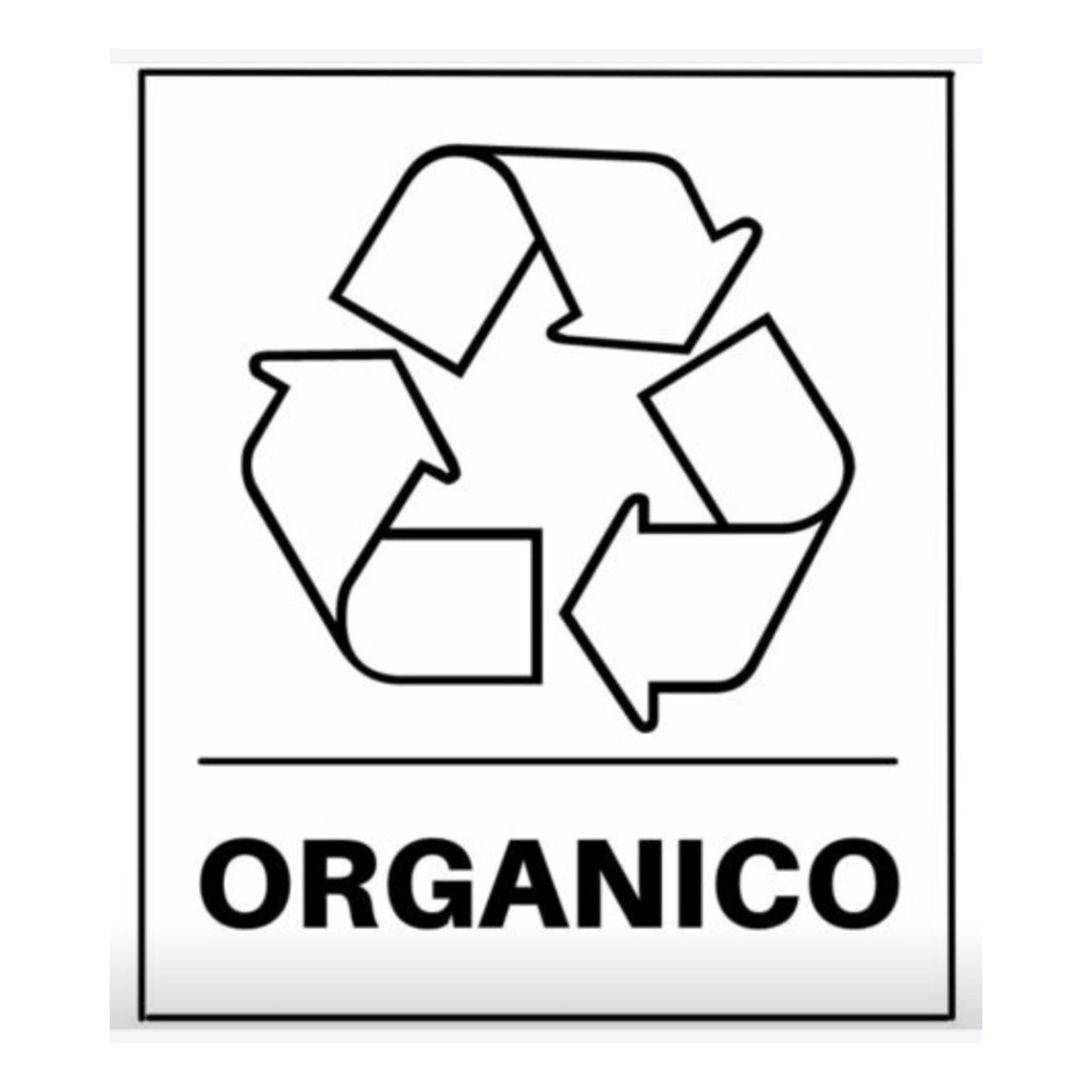 raccolta differenziata: Organico