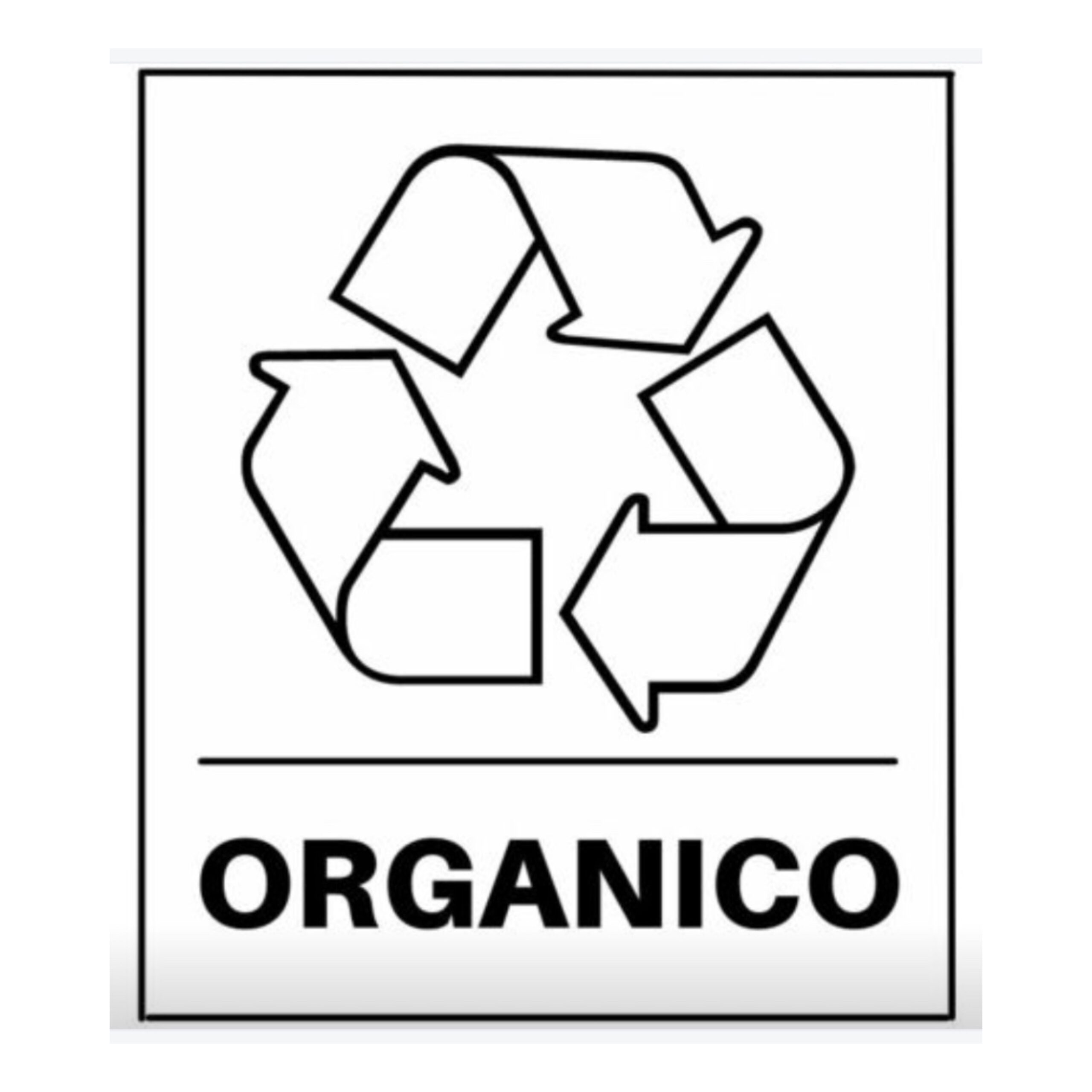 raccolta differenziata: Organico